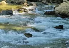 River in Mohanhchatti