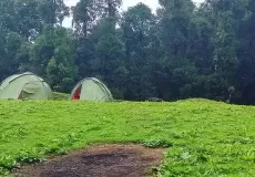 Nagtibba Camping Guide