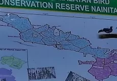 Naina Devi Bird Reserve