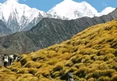 Trekkers going to Nanda Devi Base Camp