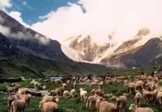 Nanda Devi National Park in Uttarakhand