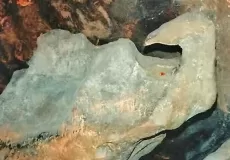 Naturally created Hans