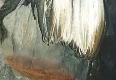 Shiv Jata inside Caves