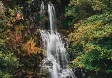 Kimona Fall