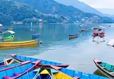 Boats in Phewa Lake
