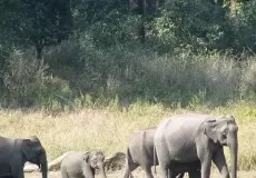 Rajaji Tiger Reserve