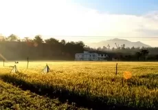 Beautiful views of fields and hills in Chilla range of Rajaji National Park