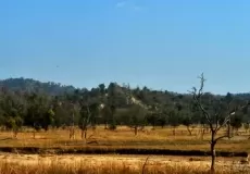 Hills, forests, river and wildlife