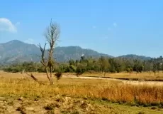 Beautiful and adventurous Rajaji National Park