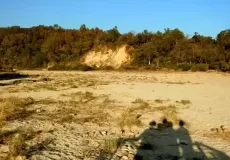 Corbett National Park near Ramnagar