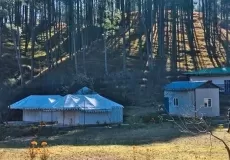 Pahadi House in Ranichauri