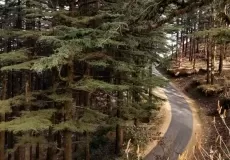 Roads in Ranichauri from Chamba