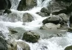 Shikhar Fall