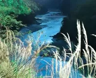 Rishikesh Camping â€“ Between mountains, besides Ganga River