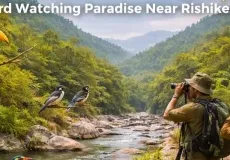 Sindhudi Kumartha Biosphere