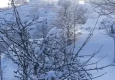 The white blanket of snow after a perfect snowfalls in Shitlakhet Almora.Around Shyahi Devi.