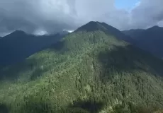Dense green forest in Gangi Village, Tehri Garhwal.