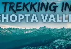 Trekking in Chopta