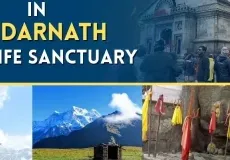 Trekking Spots in Kedarnath Wildlife Sanctuary