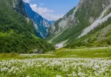 Scenic beauty of  Valley of Flowers National Park, Uttarakhand. 