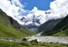Valley of flowers on a sunny day.